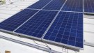 El Govern modificarà el decret d'energies renovables per tramitar d’urgència els projectes de fins a 5 megawatts