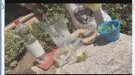 El Chillout saludable de l'Oficina Jove de la Conca es pot veure en petits clips de vídeo