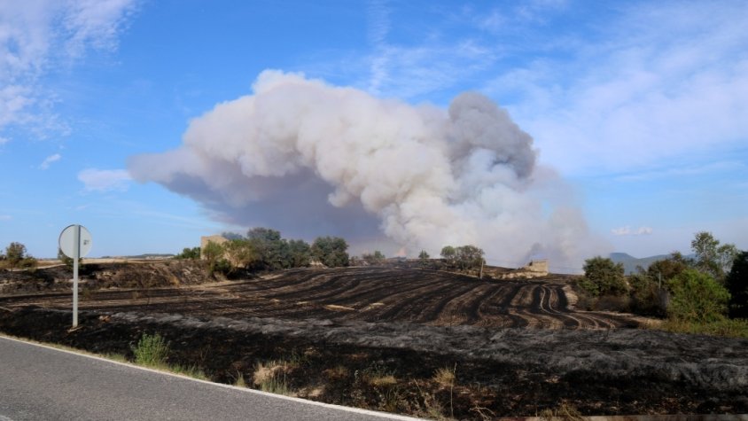 Actualització |  L'incendi de Santa Coloma de Queralt afecta unes 153 hectàrees i obliga a confinar Bellprat i un nucli de les Piles 