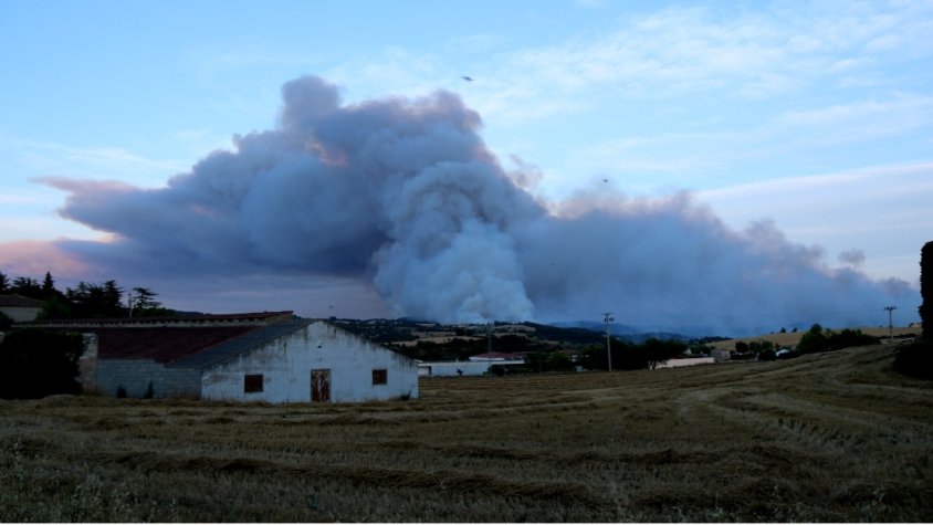Atenció: La Generalitat demana ajuda a l'Estat per combatre el foc de la Conca de Barberà i l'Anoia