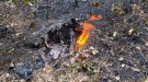 Els Bombers apaguen una petita revifalla de l'incendi de la Conca de Barberà i l'Anoia