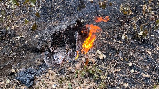 Petita revifalla de l'incendi