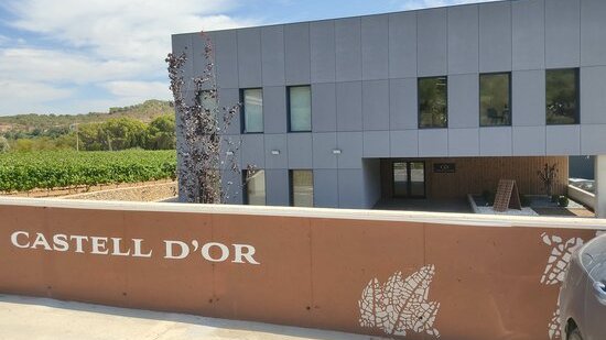 La vitivinícola Castell d'Or de Vila-rodona s'expandeix al mercat nacional