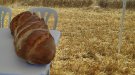 Es presenta a Santa Coloma la nova campanya del pa de Mestral