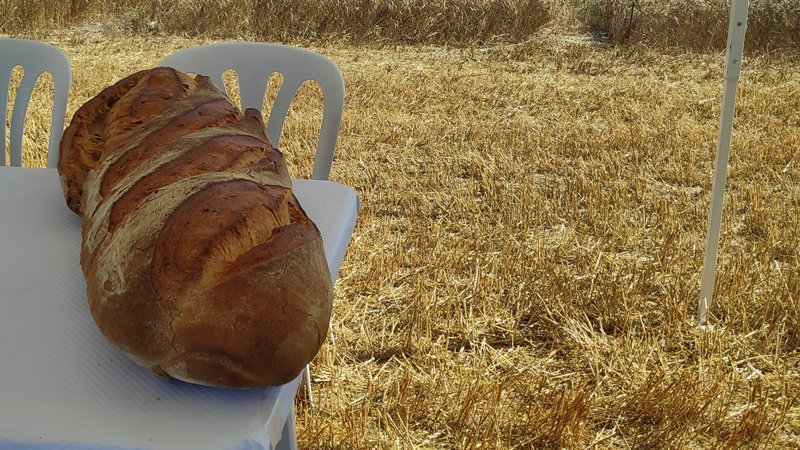 Es presenta a Santa Coloma la nova campanya del pa de Mestral