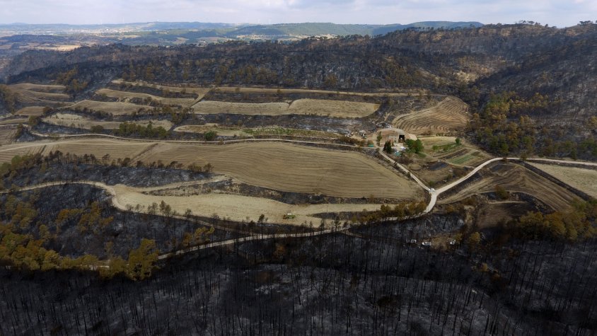 'Revifem Queralt': Sorgeix un moviment ciutadà per l'incendi de la Conca de Barberà i l'Anoia 