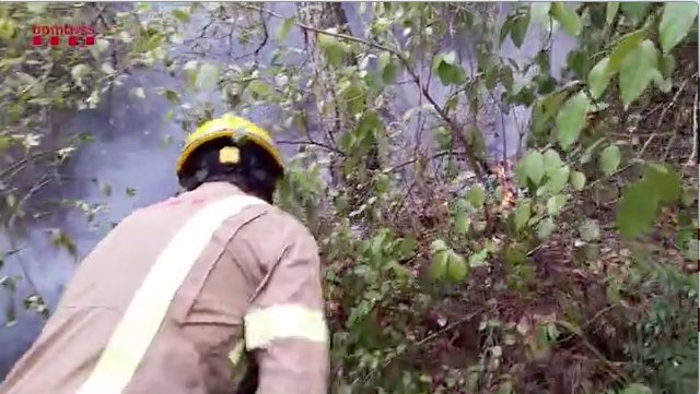 Imatge d'arxiu dels Bombers treballant en un incendi de la comarca
