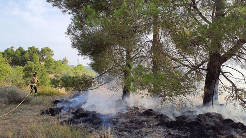 Petit incendi de matolls a Vimbodí i Poblet