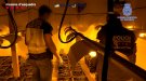 Operació policial contra una organització criminal dedicada al tràfic de marihuana amb plantacions a Montblanc