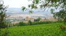 Aclariment de la Comunitat Cistercenca sobre diverses notícies aparegudes