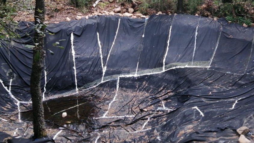 Desmantellen una plantació de marihuana a Vimbodí-Poblet
