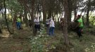 Una cinquantena de voluntaris desbrossen el bosc dos mesos després del foc de la Conca de Barberà i l'Anoia