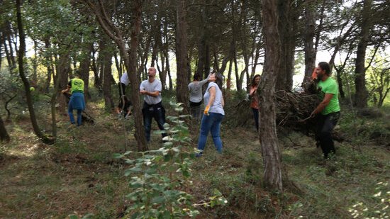 Acció de neteja al bosc