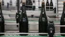 El sector del cava nota un encariment de matèries primeres i un augment de la demanda externa per la crisi del transport