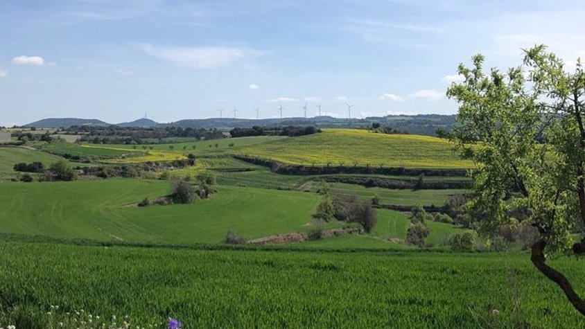 Jornades pel present i futur del món rural a la Vall del Corb amb "Territori de Vincles"