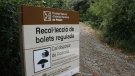 A partir del 10 d'octubre cal autorització per collir bolets als boscos de Poblet