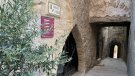 El nou web “Vine i descobreix Sarral” promociona els atractius turístics del municipi