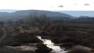 La recuperació ambiental de la Sallida obté el premi Iniciativa Medi Ambient 2021