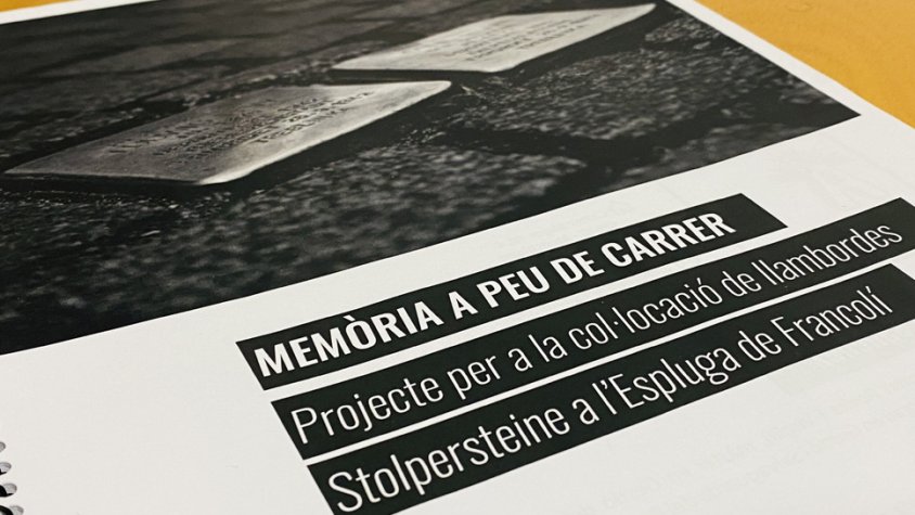 Imatge del projecte