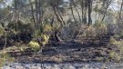 Extingit l'incendi que ha cremat 2.700 m2 de rostolls a l'Espluga
