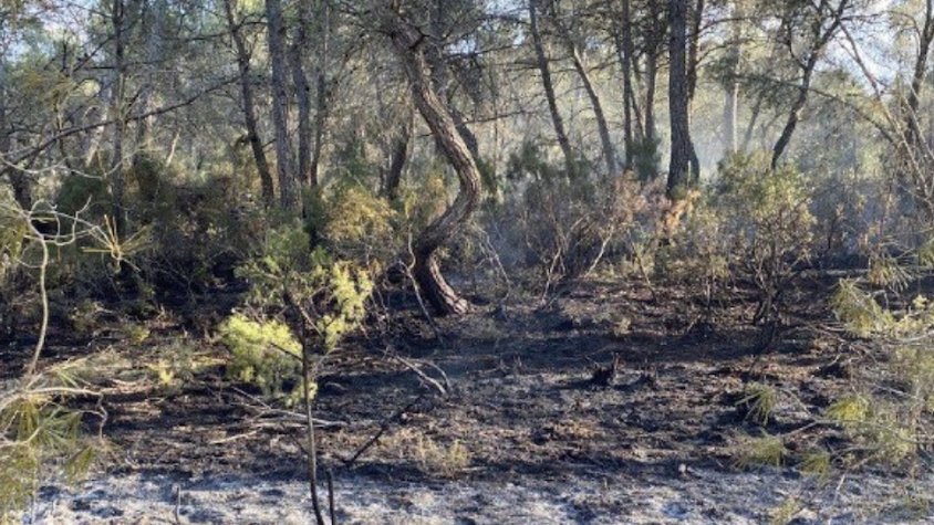 Extingit l'incendi que ha cremat 2.700 m2 de rostolls a l'Espluga