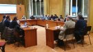 El ple del Consell Comarcal aprova dues mocions en clau feminista
