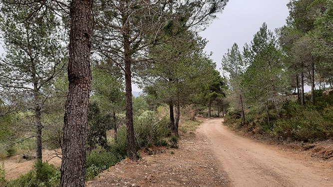L’Ajuntament de Montblanc col·labora en l’arribada de l’aigua del Consorci d’Aigües de Tarragona a l’Espluga de Francolí