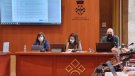 El ple del Consell Comarcal aprova els convenis d'assistència turística amb els ajuntaments de la Conca de Barberà