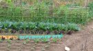 Subvencions per millorar l'eficiència energètica en les explotacions agrícoles i ramaderes
