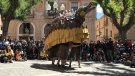 Els orígens de la Cucafera de Montblanc en un llibre
