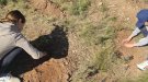 L’Ajuntament de Sarral potencia la reforestació com a eina per a la sostenibilitat