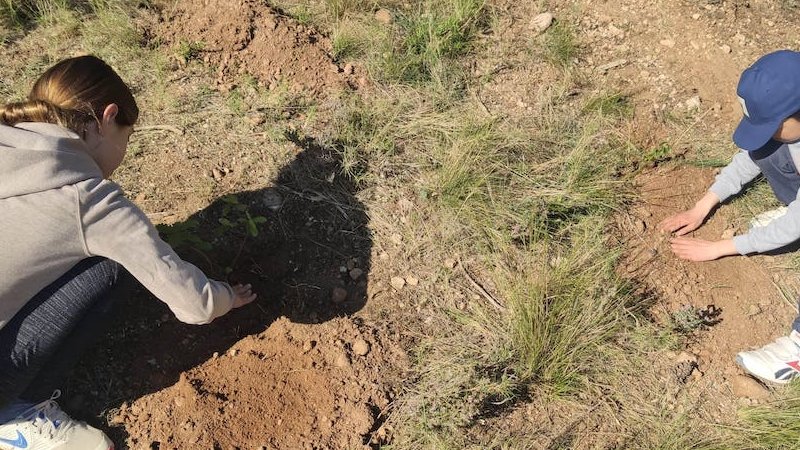 L’Ajuntament de Sarral potencia la reforestació com a eina per a la sostenibilitat