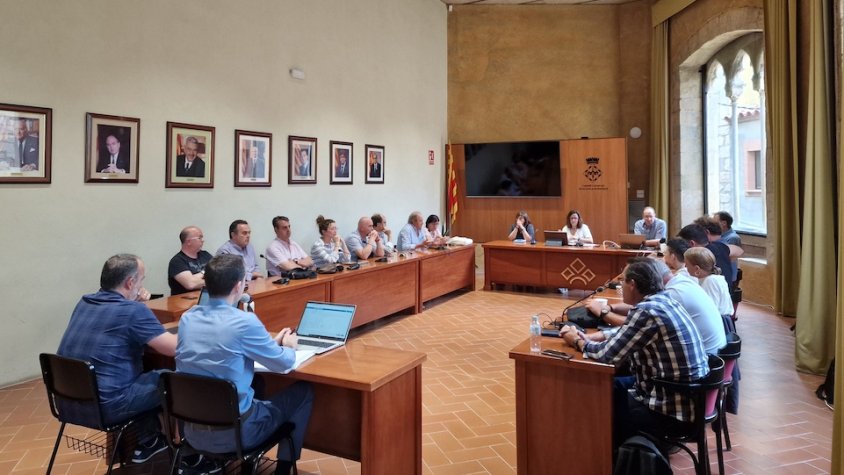 Un moment del plenari de dilluns