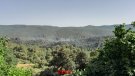 Controlat l'incendi a la zona de la Bartra a Montblanc