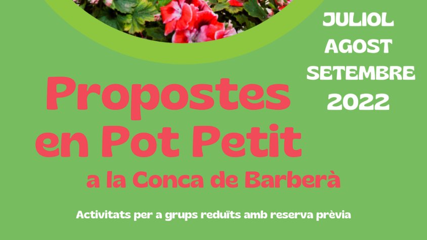 Cartell de la proposta