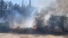 Un foc crema camps i afecta una nau a Vilaverd