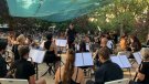 L'Orquestra Treu-li la Pols al teu Instrument (TLP) “Torna de la Pandèmia” amb un concert a l'Espluga de Francolí
