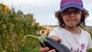 Passejada per l’hort i  collir hortalisses i fruita: arriba l’”Anem a l’Hort!”