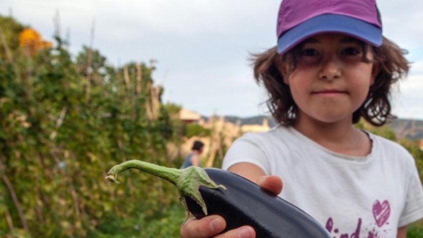 Passejada per l’hort i  collir hortalisses i fruita: arriba l’”Anem a l’Hort!”