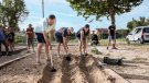 Santa Coloma celebra una nova edició de la plantada de bulbs de safrà.