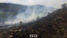 Un incendi deixa una superfície cremada de 9.000m2 a Conesa