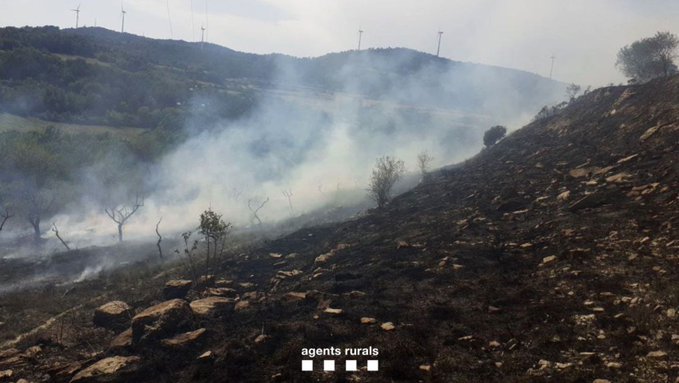 Un incendi deixa una superfície cremada de 9.000m2 a Conesa