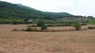 L’Ajuntament de Montblanc impulsa un estudi per construir una bassa i emmagatzemar l’aigua del barranc de la Pasquala 