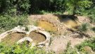 Es creen noves basses a l'Espluga per al foment de la biodiversitat al bosc del Comú