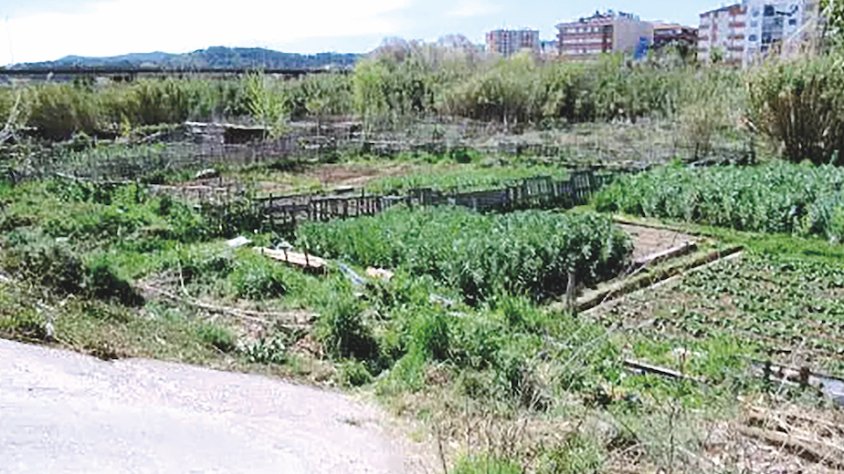 Els hortolans