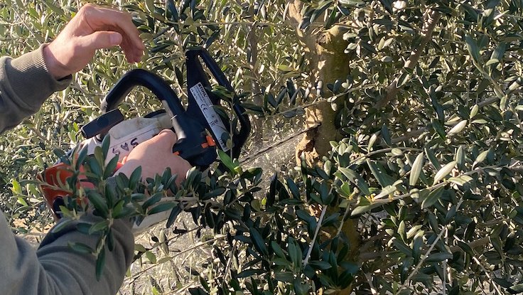 Acció Climàtica activa la facilitació de la tramitació de les autoritzacions excepcionals per cremar restes vegetals