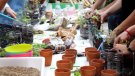 El Museu de la Vida Rural organitza dos cursos formatius, un d’horticultura ecològica i un de cistelleria contemporània