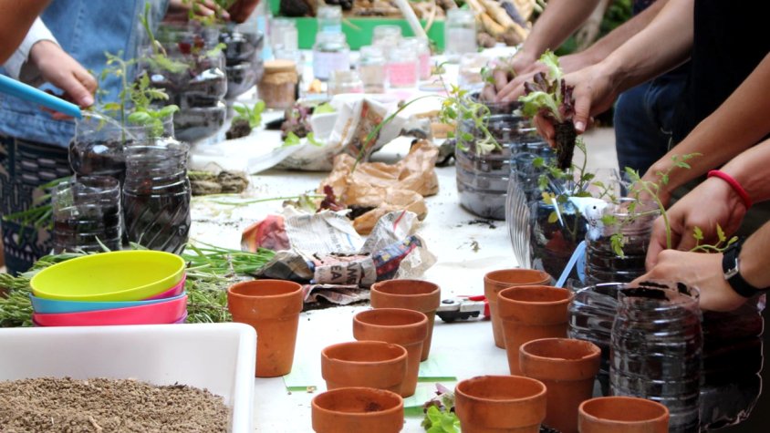 El Museu de la Vida Rural organitza dos cursos formatius, un d’horticultura ecològica i un de cistelleria contemporània