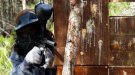 Sarral celebrarà la primera edició del campionat del PaintBall