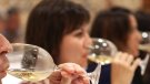 A la venda les entrades per al tast de vins de #Safrània365